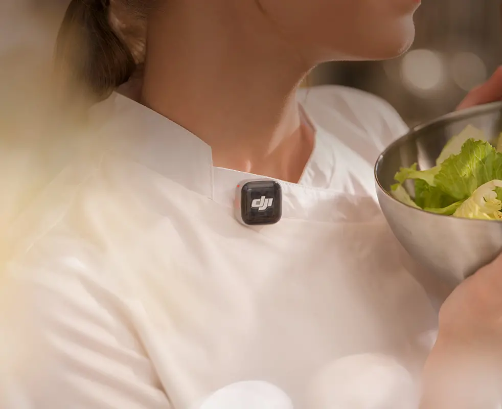 Close-up of a device worn on a collar